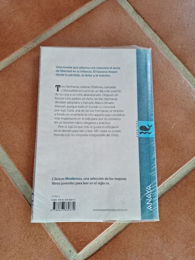 El Polizón de Ulises