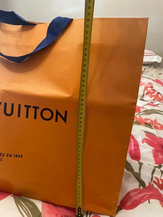 Bolsa Louis Vuitton 