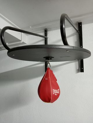 Punching ball Everlast