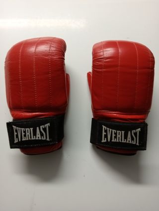 Punching ball Everlast