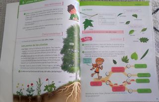 Ciencias de la Naturaleza 3 Primarias