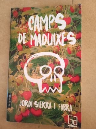 Camps de maduixes