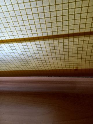 estor tela amarilla vainilla de 160x165