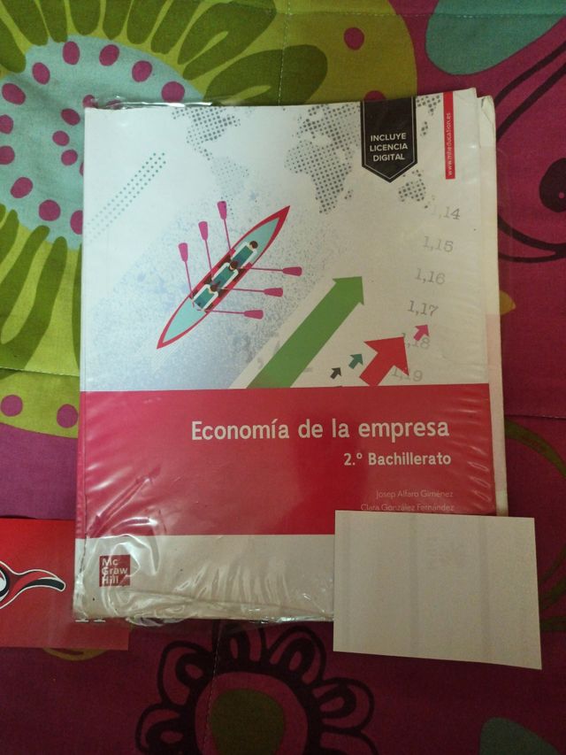 ECONOMÍA DE LA EMPRESA 2 BACHILLERATO