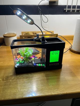 Mini pecera escritorio usb