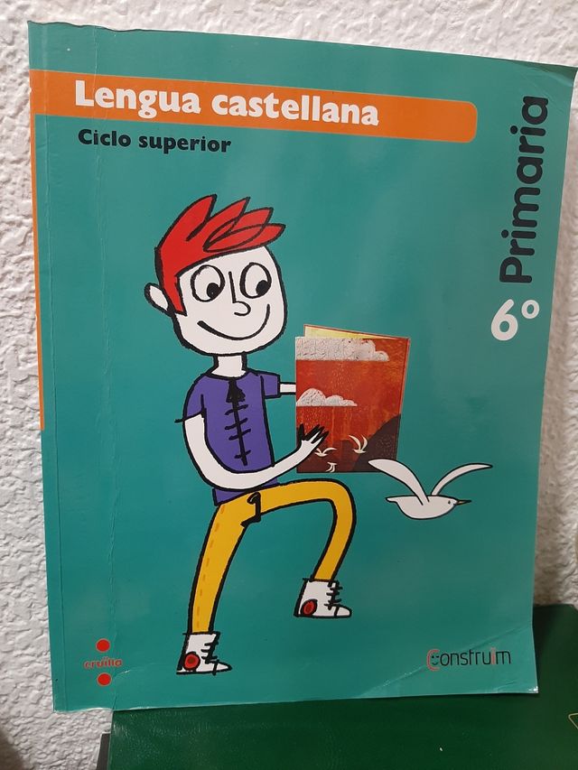 Lengua castellana 6