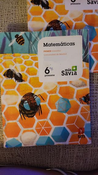 Matemáticas 6 Primaría