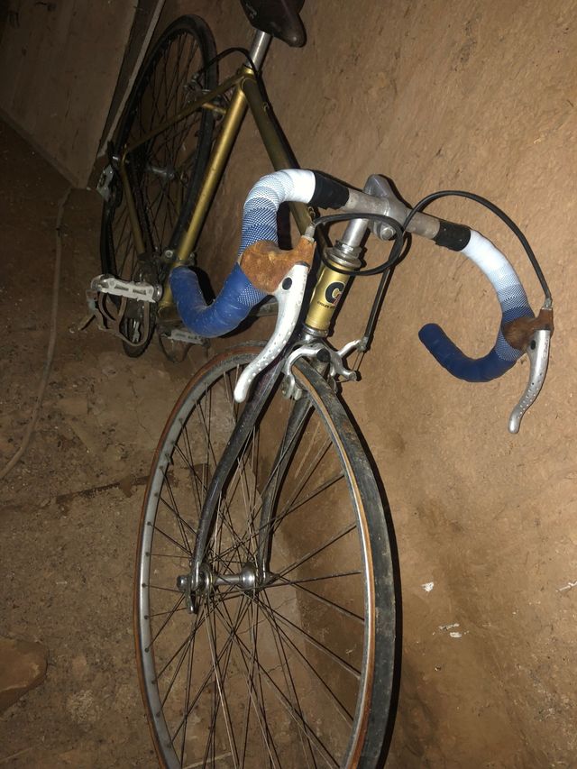 gigante talla pequeña