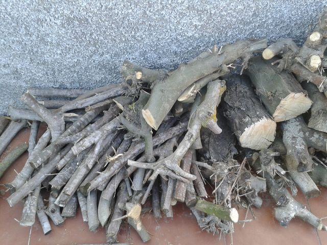 LEÑA NARANJO PAELLA BARBACOA BRASA ESTUFA CHIMENEA