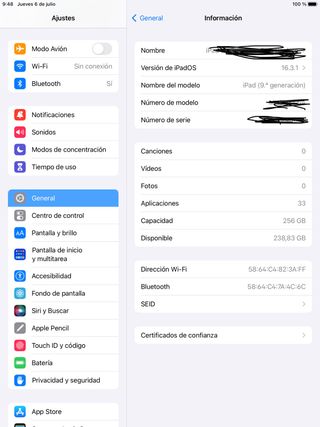 iPad 10.2 256 Gb con seguro y garantía 