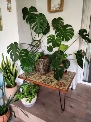 MESA DE AZULEJOS Y MADERA ESTILO RÚSTICO