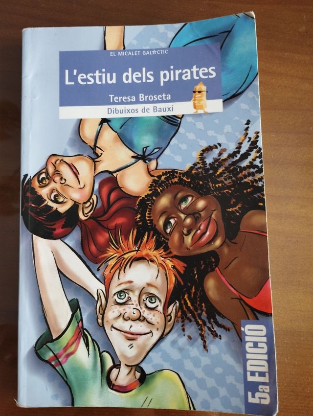 L'estiu dels pirates