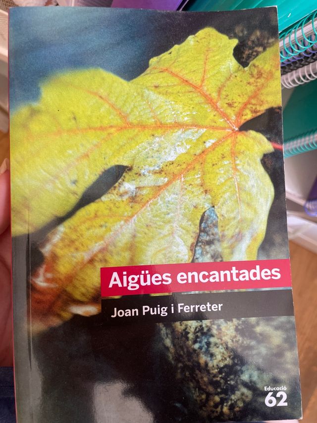 Aigües Encantandes Joan Puig i Ferreter