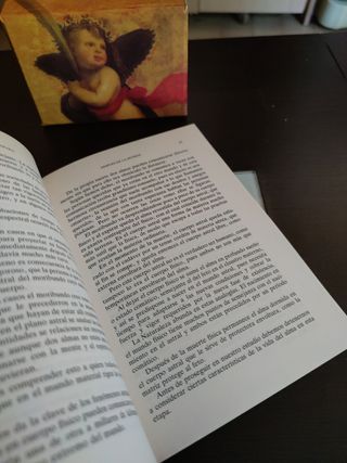 Libro La vida después de la muerte