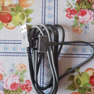 Cable auxiliar