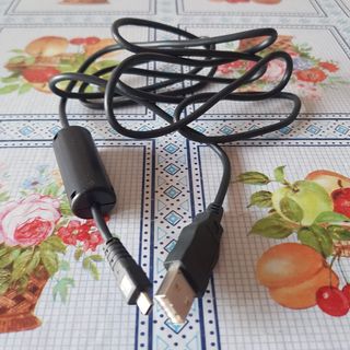 Cable auxiliar con un puerto USB.
