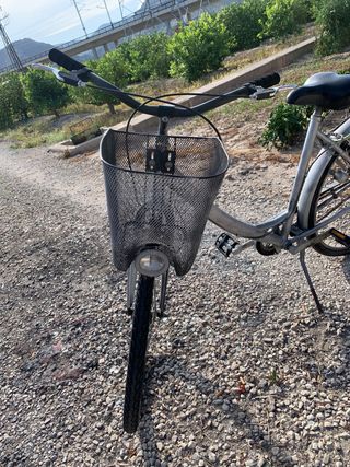 Bicicleta paseo
