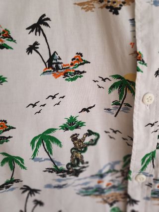 camisa hawaiana