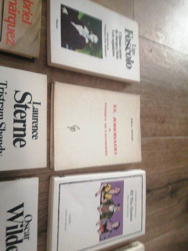 Libri di letteratura inglese, francese...