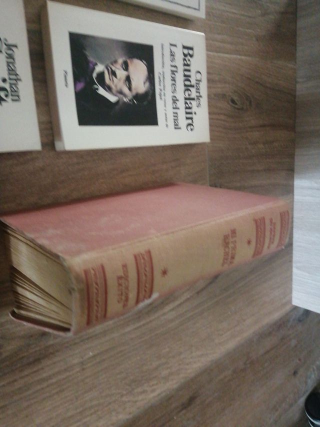 Libri di letteratura inglese, francese...