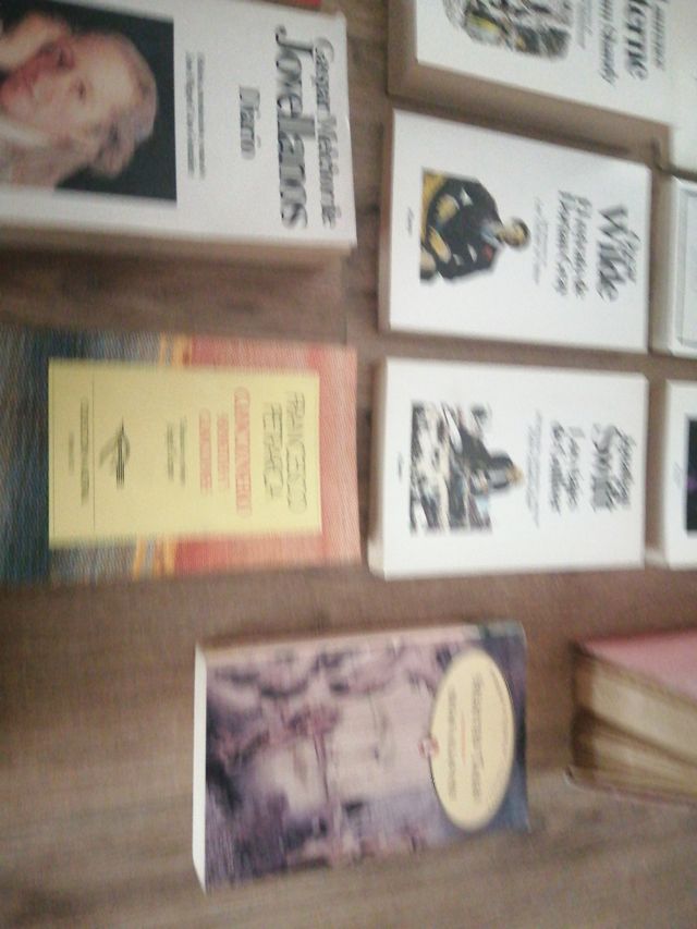 Libri di letteratura inglese, francese...