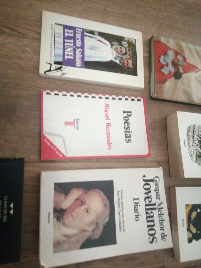 Libri di letteratura inglese, francese...