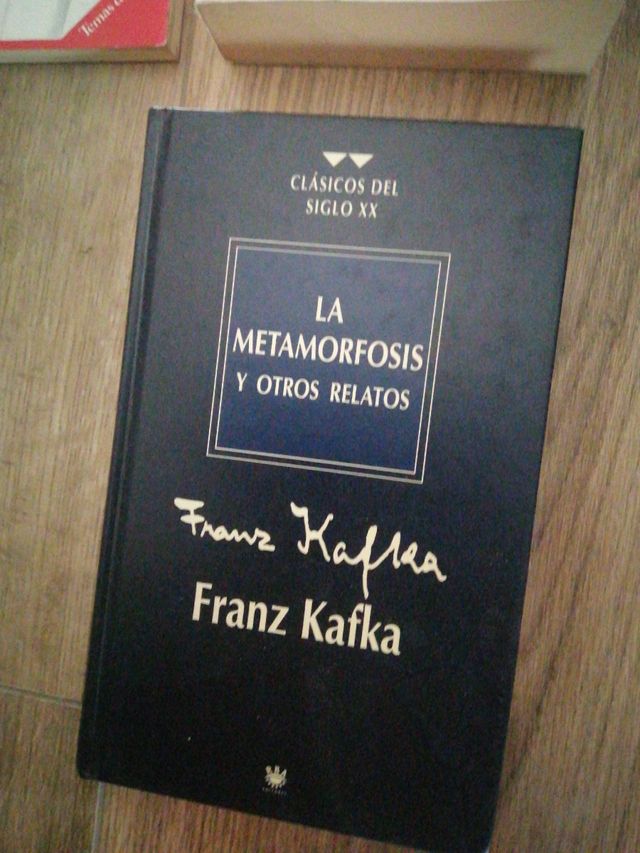 Libri di letteratura inglese, francese...