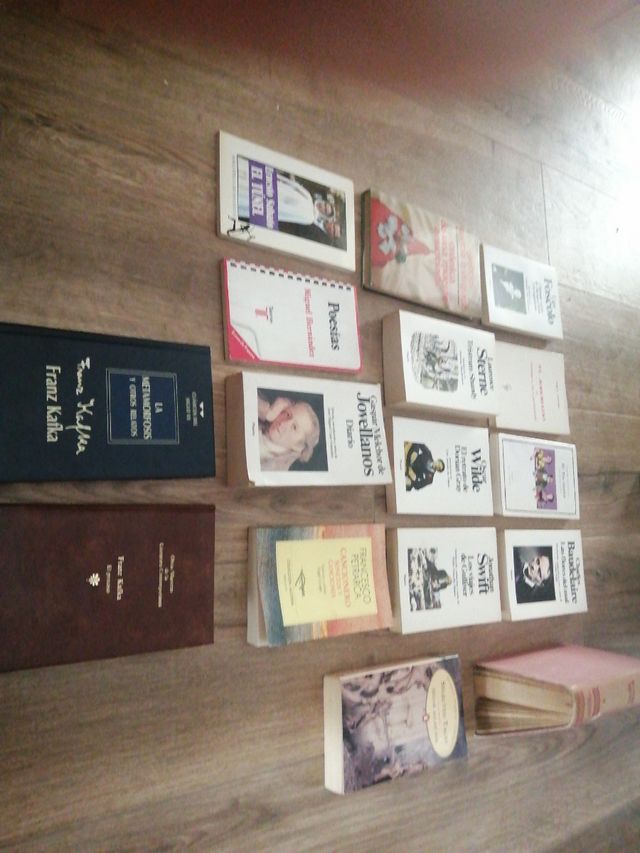 Libri di letteratura inglese, francese...