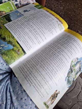 Libro de lengua castellana chimpa 4 primaria