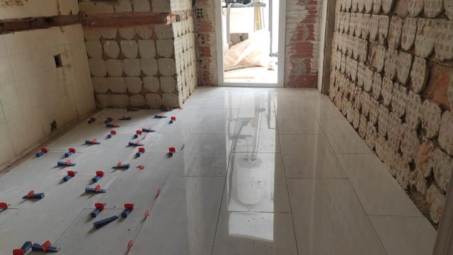 reformas económicas