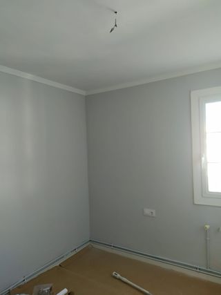 pintor económico