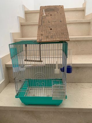 Jaula pájaro