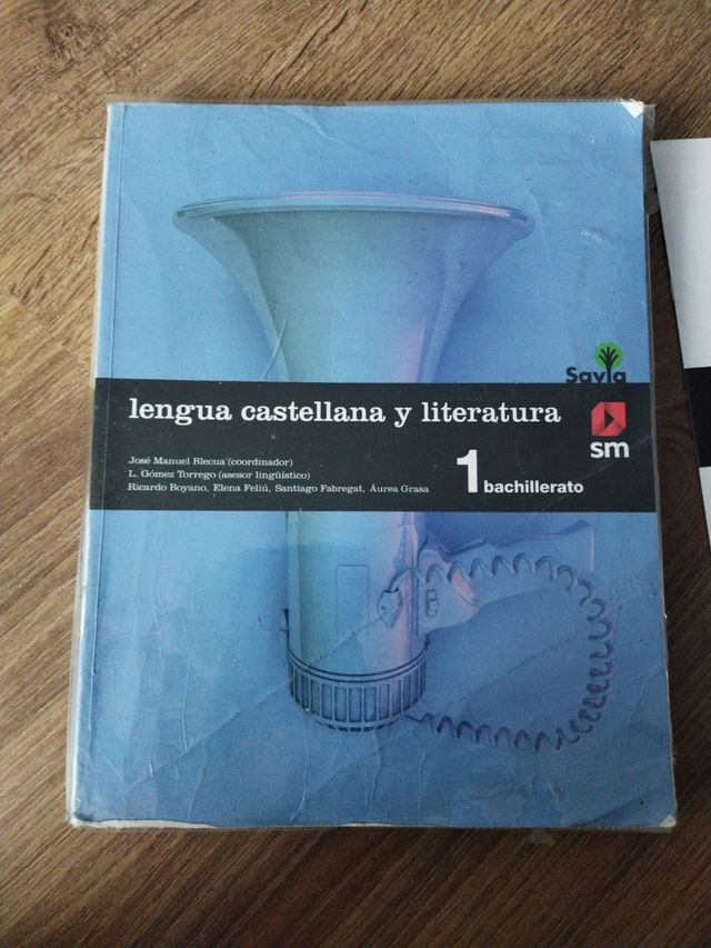 Lengua castellana y literatura