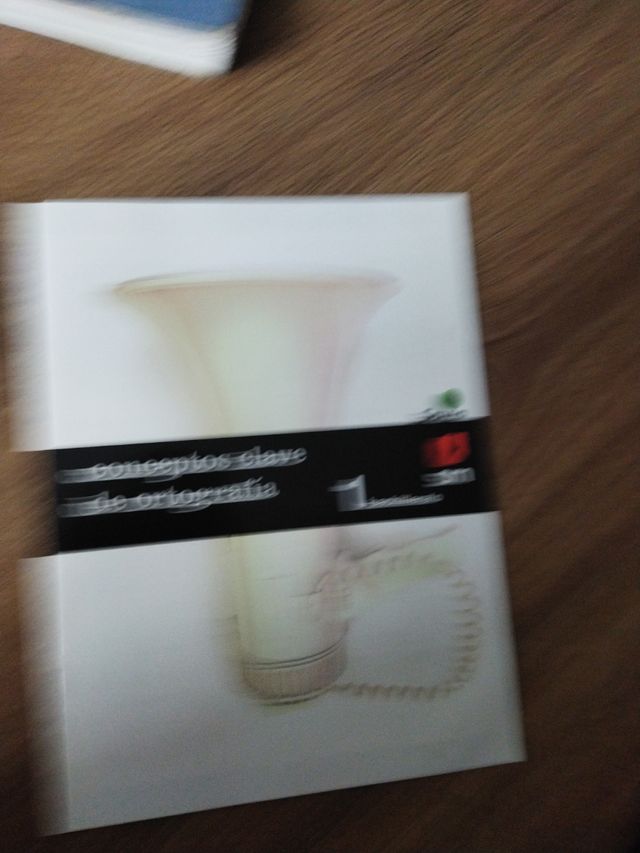 Lengua castellana y literatura