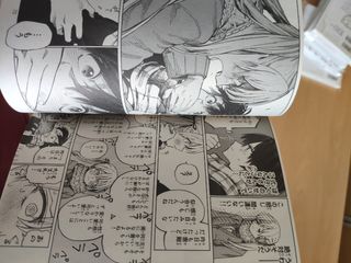 Shikimori japones 1-3