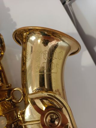 Saxo alto yanagisawa , sonido espectacular.