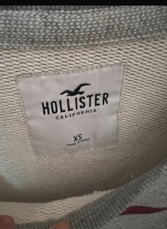 Jersey hollister