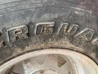 Rueda Y llanta