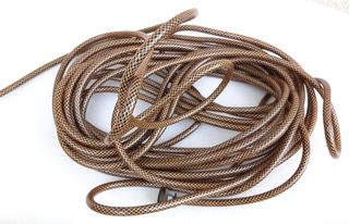 Accesorios Aspirador Rainbow