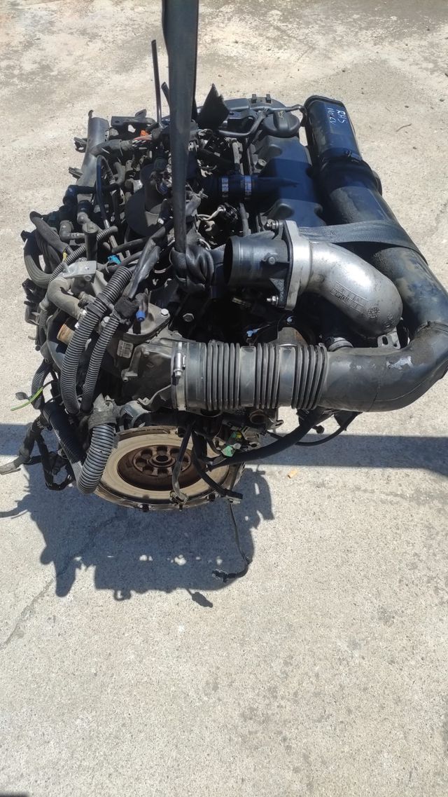 Motor 2.0hdi - 110cv. Tipo RHS
