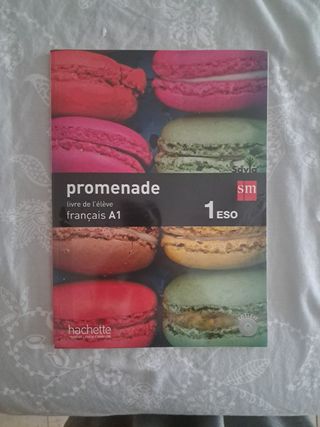 Promenade A1 francais 1 ESO.