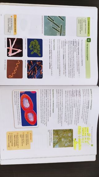 Libro Biology and Geology 1ESO ISBN: 9788468019758