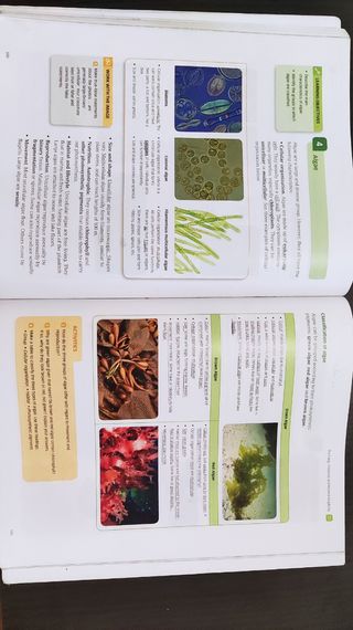 Libro Biology and Geology 1ESO ISBN: 9788468019758