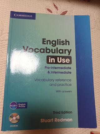 Lote LIBROS GRAMATICA INGLESA