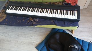 Piano de estudio 88 teclas contrapesadas.