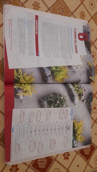 Libro de Física y Química 1º bachiller Anaya