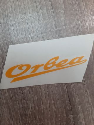 Pegatinas BH y ORBEA clásicas.