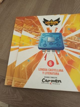 Lengua Castellana sexto primaria