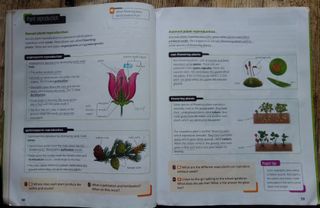 Natural Science 4º Primaria. Macmillan Education