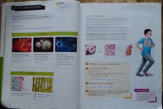 Natural Science 5º Primaria. Macmillan Education